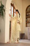 Lemon Garden - Maryam Hussain